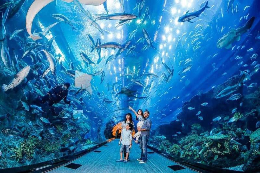 khám phá viện hải dương học nha trang