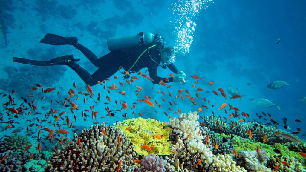 lặn biển tại nha trang