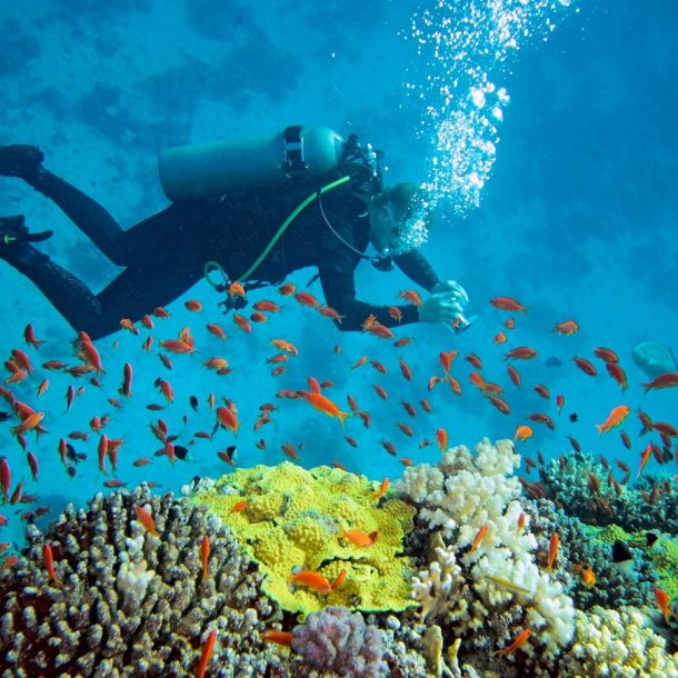 lặn biển tại nha trang