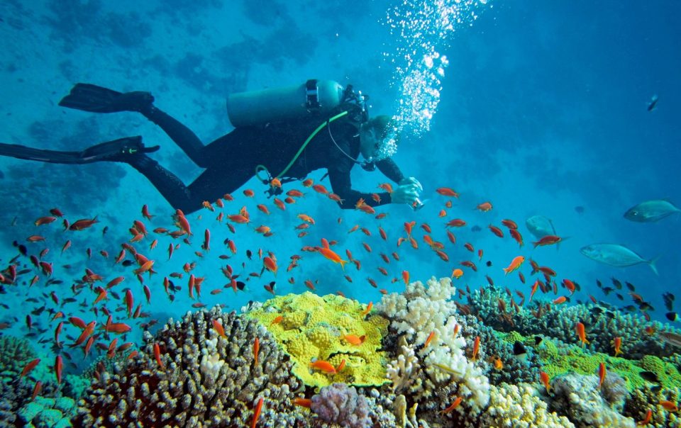 lặn biển tại nha trang