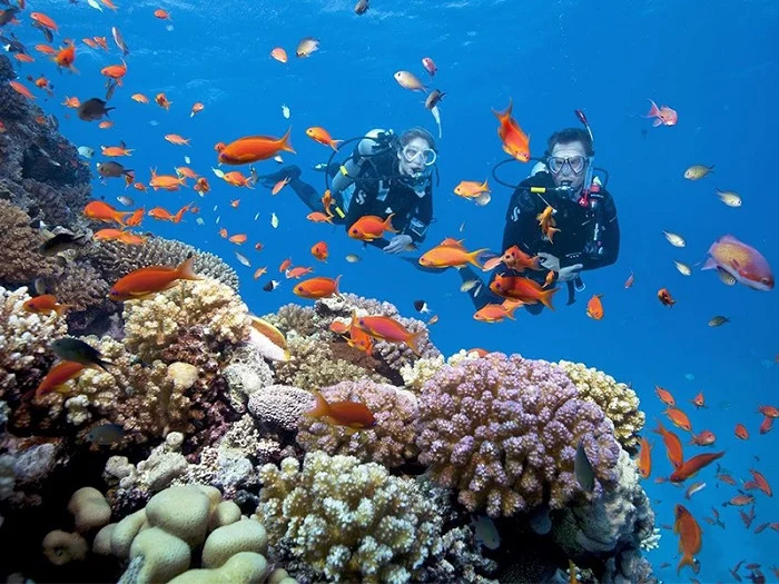 trải nghiệm lặn biển ở nha trang